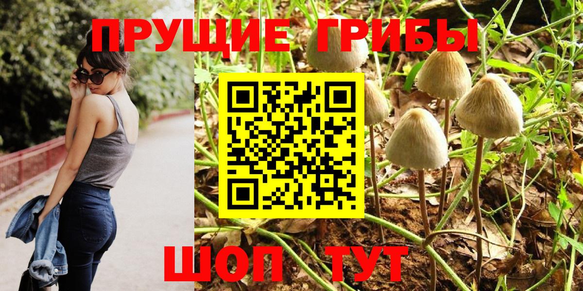 Галлюциногенные грибы Cubensis Унеча